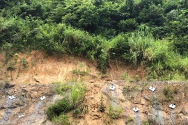 Khắc phục sạt lở đất đá đèo An Khê đoạn qua Quốc lộ 19 tỉnh Gia Lai do mưa lớn.