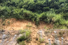 Khắc phục sạt lở đất đá đèo An Khê đoạn qua Quốc lộ 19 tỉnh Gia Lai do mưa lớn.