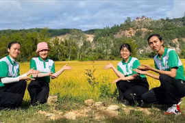 Các thành viên Hội Yêu rác thực hiện hoạt động nhặt rác và trồng cây để bảo vệ môi trường, lan tỏa lối sống xanh và tinh thần tự nguyện tại cộng đồng.