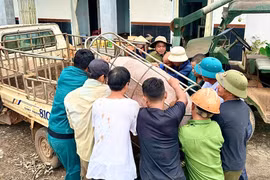 Lực lượng chức năng xã Ia Ly huy động nhân lực hỗ trợ người dân di dời khẩn cấp tài sản đến nơi an toàn.