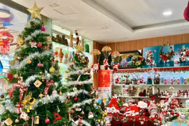 Hàng Noel đa dạng như cây thông, ông già Noel được trưng bày rực rỡ nhưng thị trường mua sắm Giáng sinh diễn ra trầm lắng.