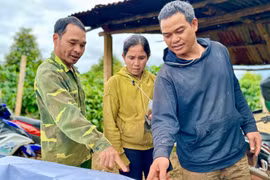 Dự án thành phần 3 cao tốc Quy Nhơn-Pleiku đảm bảo khởi công theo đúng kế hoạch trong tháng 12-2025.