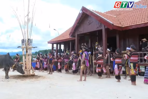 Đặc sắc Lễ "Mừng chiến thắng" của người Bahnar ở làng Đăk Asêl, xã Sơn Lang