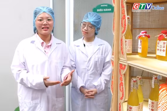 Gia Lai sáng tạo: Nếp since 1995