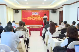 Sở Nông nghiệp và Môi trường tổ chức hội nghị công bố và trao giấy chứng nhận OCOP 4 sao, 5 sao