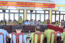 Gia Lai phát hiện, xử lý 95 vụ vi phạm Luật Lâm nghiệp