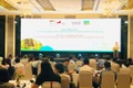 Tổng kết dự án nhân rộng quản lý rừng bền vững và chứng chỉ rừng 