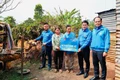 Hỗ trợ sinh kế, “tiếp sức” thanh niên Gia Lai lập nghiệp