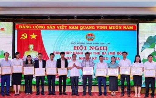 Chủ tịch Hội Nông dân tỉnh Gia Lai Võ Anh Tuấn (đứng giữa) trao tặng Bằng khen cho các cá nhân có thành tích xuất sắc trong công tác Hội và phong trào nông dân năm 2023. Ảnh: Hoàng Cư.