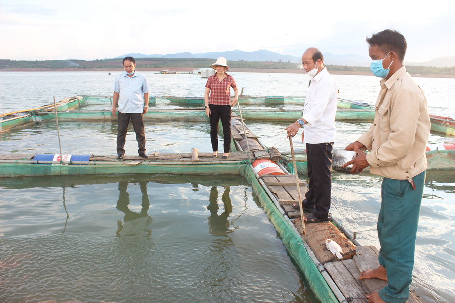 Mô hình nuôi cá lồng trong lòng hồ thủy điện Ia Ly (huyện Chư Păh). Ảnh: Nguyễn Diệp Mô hình nuôi cá lồng trong lòng hồ thủy điện Ia Ly (huyện Chư Păh). Ảnh: Nguyễn Diệp