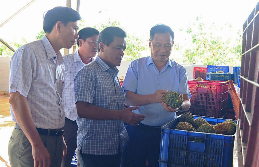 Bí thư Tỉnh ủy Hồ Văn Niên (thứ 2 từ phải sang) thăm DOVECO Gia Lai. Ảnh: Nguyễn Đông Bí thư Tỉnh ủy Hồ Văn Niên (thứ 2 từ phải sang) thăm DOVECO Gia Lai. Ảnh: Nguyễn Đông