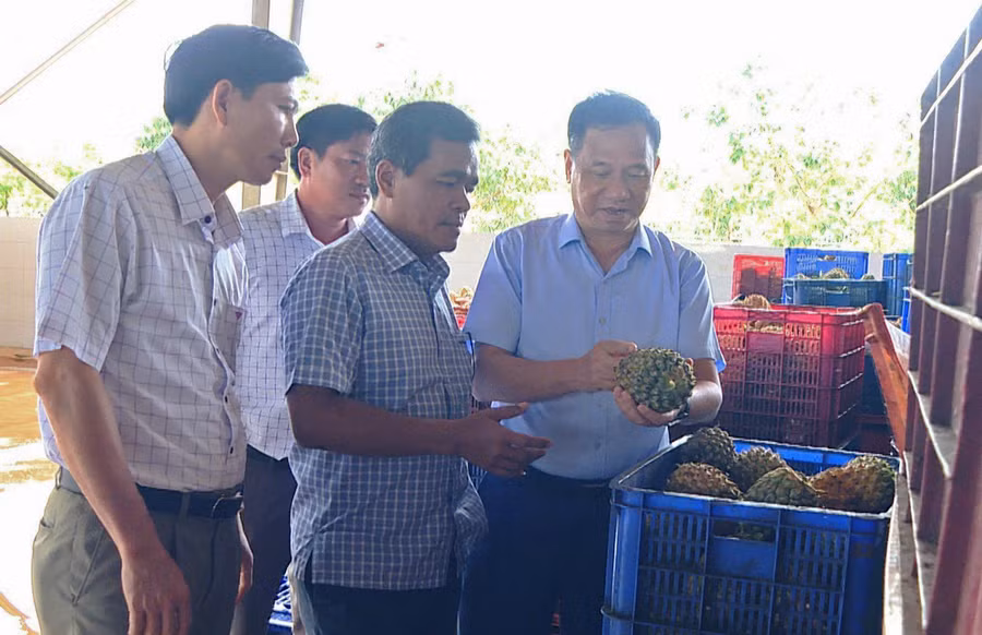 Bí thư Tỉnh ủy Hồ Văn Niên (thứ 2 từ phải sang) thăm DOVECO Gia Lai. Ảnh: Nguyễn Đông