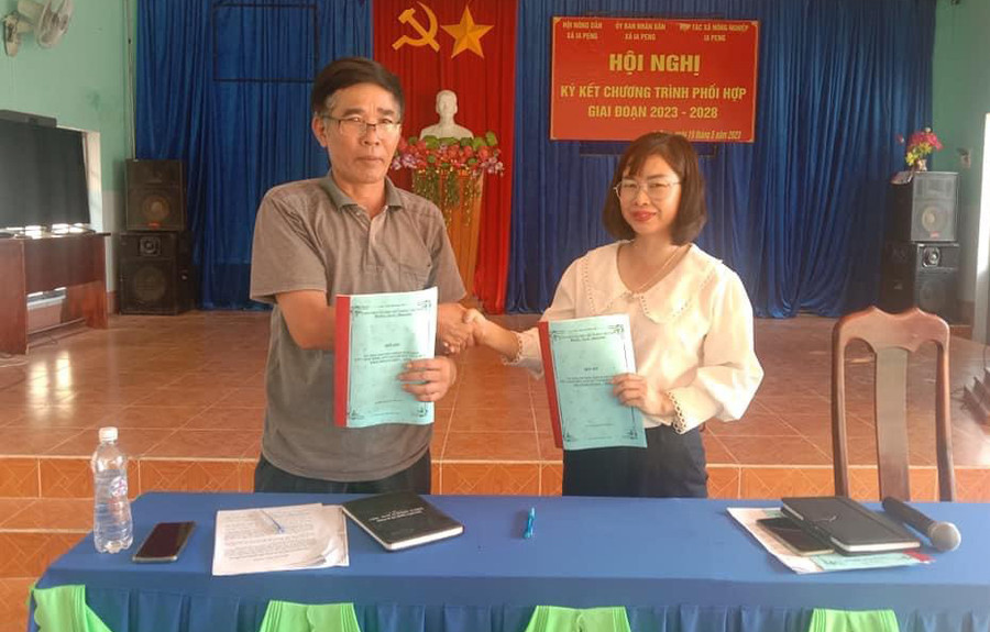 Hội Nông dân xã Ia Peng ký kết chương trình phối hợp với HTX Nông nghiệp Ia Peng giai đoạn 2023-2028. Ảnh: Vũ Chi Hội Nông dân xã Ia Peng ký kết chương trình phối hợp với HTX Nông nghiệp Ia Peng giai đoạn 2023-2028. Ảnh: Vũ Chi