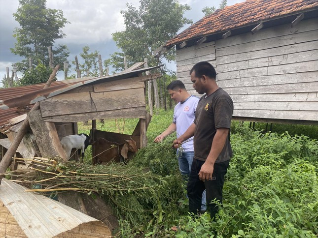 Rơ Âu Y Măng chăm sóc cặp dê của Công an huyện Ea H’leo trao tặng Rơ Âu Y Măng chăm sóc cặp dê của Công an huyện Ea H’leo trao tặng