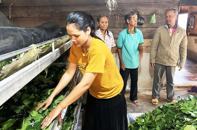 Già làng Ha Xuyên thăm hỏi, hướng dẫn dân làng làm kinh tế