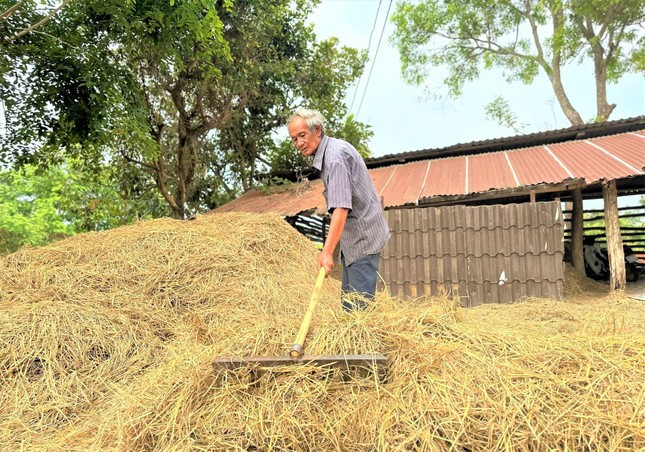Già Y Luyện với công việc thường ngày
