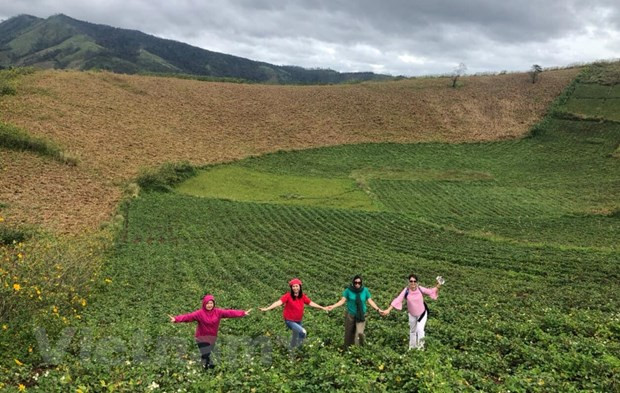 Du khách chụp ảnh lưu niệm tại núi lửa Chư Đăng Ya ở Gia Lai. Ảnh: Hồng Hạnh/Vietnam+ Du khách chụp ảnh lưu niệm tại núi lửa Chư Đăng Ya ở Gia Lai. Ảnh: Hồng Hạnh/Vietnam+