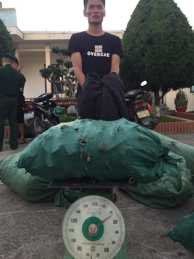 Bắt giữ nghi phạm và lô củ SLC nhập lậu từ TQ về VN. Ảnh: Công an H.Phong Thổ cung cấp Bắt giữ nghi phạm và lô củ SLC nhập lậu từ TQ về VN. Ảnh: Công an H.Phong Thổ cung cấp