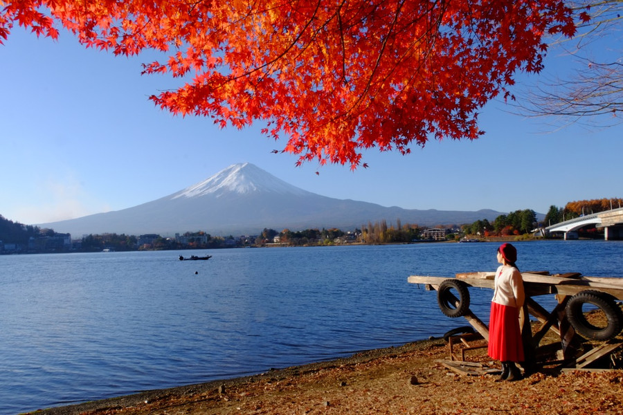 Đây là một trong những điểm chụp đẹp nhất mà chỉ có người địa phương biết đến - đoạn công viên dưới chân cầu Kawaguchiko. Ảnh: MAI TRANG Đây là một trong những điểm chụp đẹp nhất mà chỉ có người địa phương biết đến - đoạn công viên dưới chân cầu Kawaguchiko. Ảnh: MAI TRANG