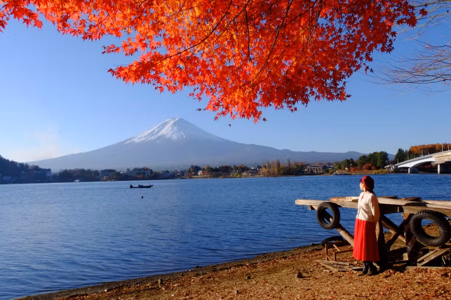 Đây là một trong những điểm chụp đẹp nhất mà chỉ có người địa phương biết đến - đoạn công viên dưới chân cầu Kawaguchiko. Ảnh: MAI TRANG