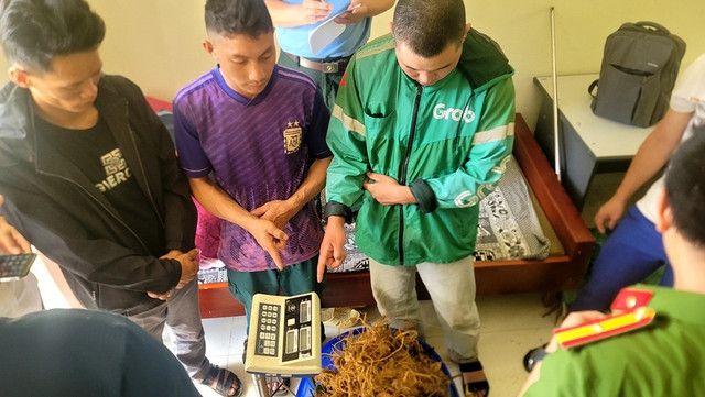 Công an H. Phong thổ cân sâm của các đối tượng vận chuyển lậu từ Trung Quốc về Việt Nam. Ảnh: Công an H. Phong Thổ cung cấp Công an H. Phong thổ cân sâm của các đối tượng vận chuyển lậu từ Trung Quốc về Việt Nam. Ảnh: Công an H. Phong Thổ cung cấp