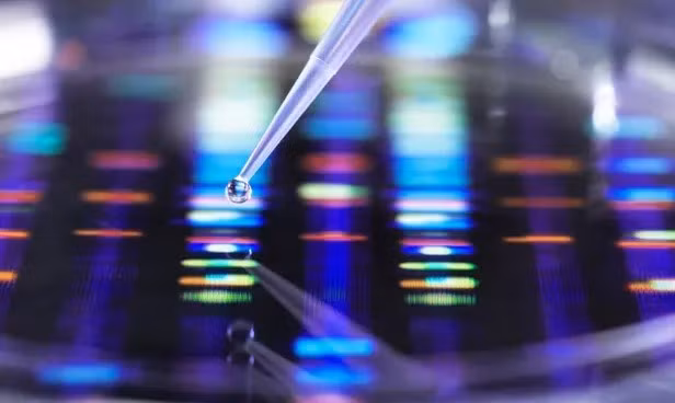 AI đã được sử dụng trong quá trình chế thuốc chống siêu vi khuẩn Acinetobacter baumannii. Nguồn: Telegraph