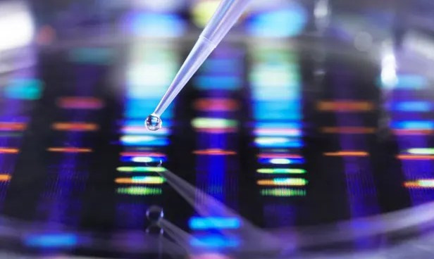 AI đã được sử dụng trong quá trình chế thuốc chống siêu vi khuẩn Acinetobacter baumannii. Nguồn: Telegraph AI đã được sử dụng trong quá trình chế thuốc chống siêu vi khuẩn Acinetobacter baumannii. Nguồn: Telegraph