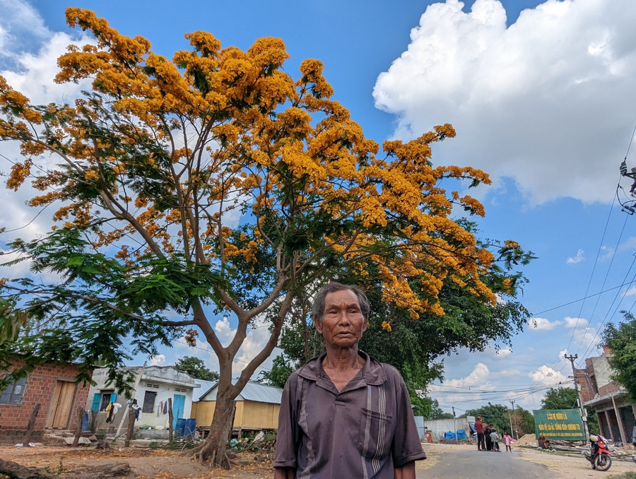 Ông Hnhâch, người đã trồng cây phượng hoa vàng, khoảng năm 2001. Ảnh: Nguyễn Quang Tuệ Ông Hnhâch, người đã trồng cây phượng hoa vàng, khoảng năm 2001. Ảnh: Nguyễn Quang Tuệ
