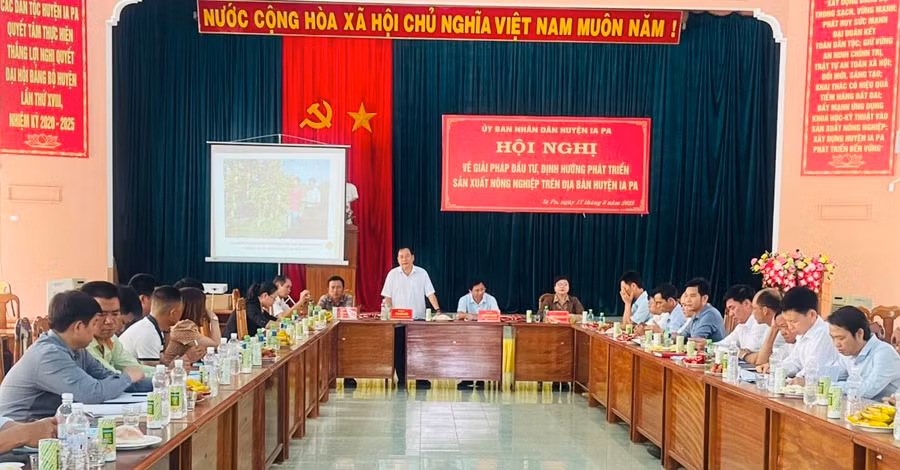 Quang cảnh hội nghị về giải pháp đầu tư, định hướng phát triển sản xuất nông nghiệp trên địa bàn huyện Ia Pa. Ảnh: Vũ Chi