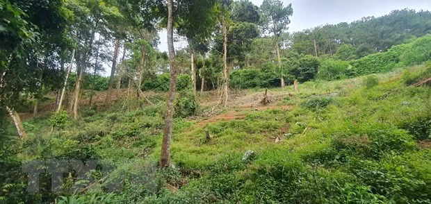 Ảnh minh họa. Nguồn: TTXVN