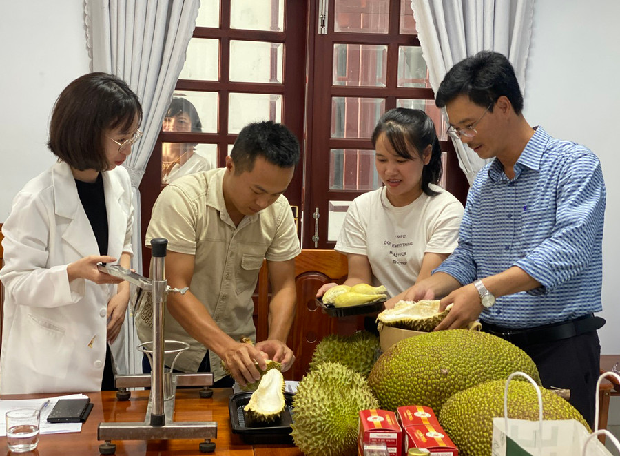 Sản phẩm Sầu riêng Hoàng Gia của Công ty TNHH xuất nhập khẩu bơ mỹ Hoàng Gia thị trấn Ia Kha. Ảnh: Phương Lộc Sản phẩm Sầu riêng Hoàng Gia của Công ty TNHH xuất nhập khẩu bơ mỹ Hoàng Gia thị trấn Ia Kha. Ảnh: Phương Lộc