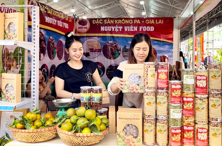 Các sản phẩm mắc ca Minh Quang (huyện Kbang) đã được ký kết tiêu thụ trong hệ thống của Saigon Co.op. Ảnh: V.T