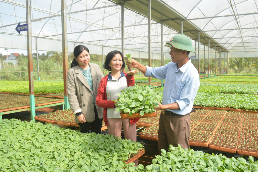 Nhiều nông dân trên địa bàn tỉnh đã ứng dụng khoa học, kỹ thuật vào sản xuất mang lại hiệu quả kinh tế cao. Ảnh: P.D Nhiều nông dân trên địa bàn tỉnh đã ứng dụng khoa học, kỹ thuật vào sản xuất mang lại hiệu quả kinh tế cao. Ảnh: P.D