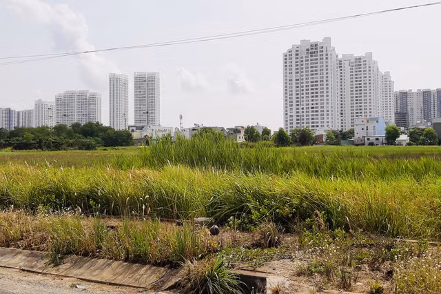 Đa số các ý kiến đều đề nghị xem lại điều kiện áp dụng trong phương pháp thặng dư. Ảnh: Đình Sơn