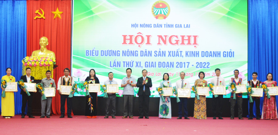 Biểu dương nông dân sản xuất, kinh doanh giỏi nhằm khuyến khích, động viên nông dân tích cực tham gia các phong trào thi đua. Ảnh: Anh Huy