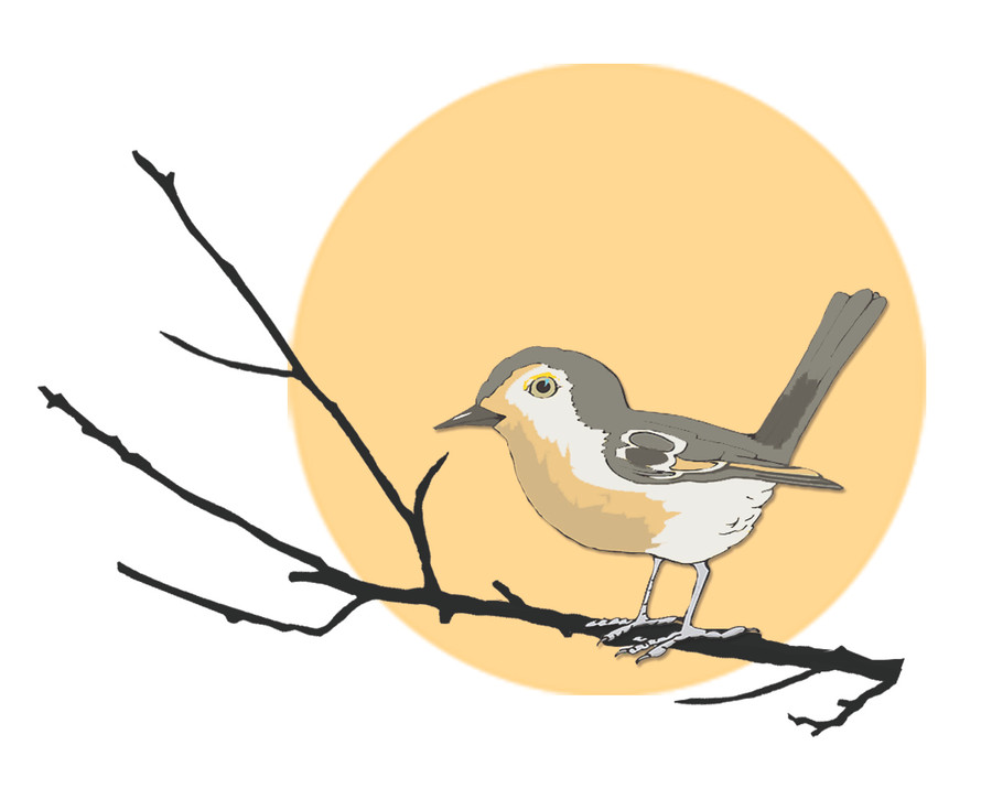 Minh họa: T.N Minh họa: T.N