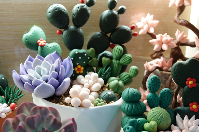 ‘Biến hóa’ đất sét, thu nhập hàng chục mỗi tháng - Ảnh 11. Những mẫu sen đá mix với nhau. Ảnh: Duy Tân