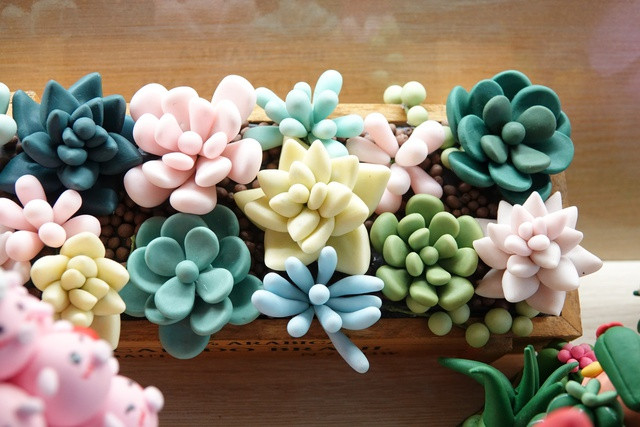 ‘Biến hóa’ đất sét, thu nhập hàng chục mỗi tháng - Ảnh 10. Những mẫu sen đá mix với nhau vô cùng sống động. Ảnh: Duy Tân