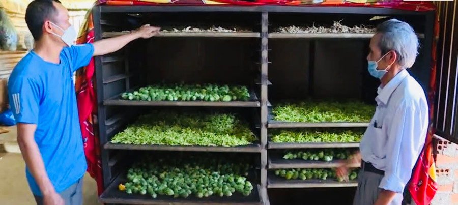 HTX Nông lâm nghiệp dịch vụ Toàn Diện (huyện Mang Yang) sơ chế dược liệu sau thu hoạch. Ảnh: Nguyễn Diệp HTX Nông lâm nghiệp dịch vụ Toàn Diện (huyện Mang Yang) sơ chế dược liệu sau thu hoạch. Ảnh: Nguyễn Diệp