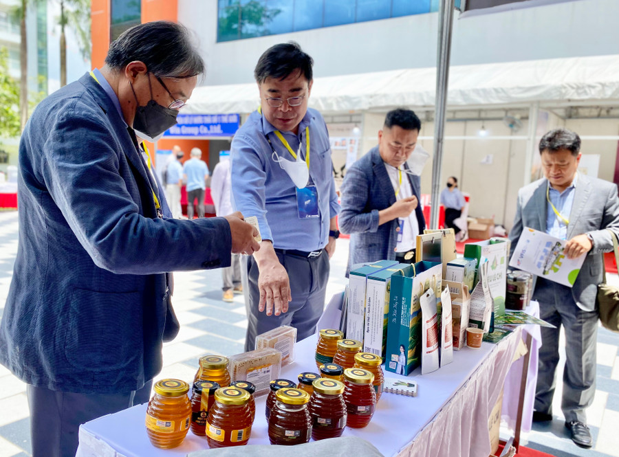 Nguồn nhân lực chất lượng cao sẽ góp phần giúp các HTX phát triển hoạt động sản xuất kinh doanh, mở rộng thị trường. Ảnh: H.D