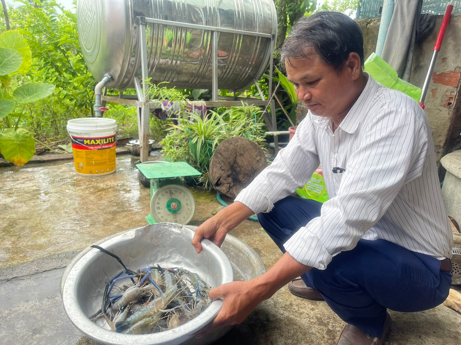 Ông Nguyễn Đức Thắng (thôn Bình Trang, xã Ia Peng) phấn khởi khi trọng lượng tôm đạt cao. Ảnh: Vũ Chi