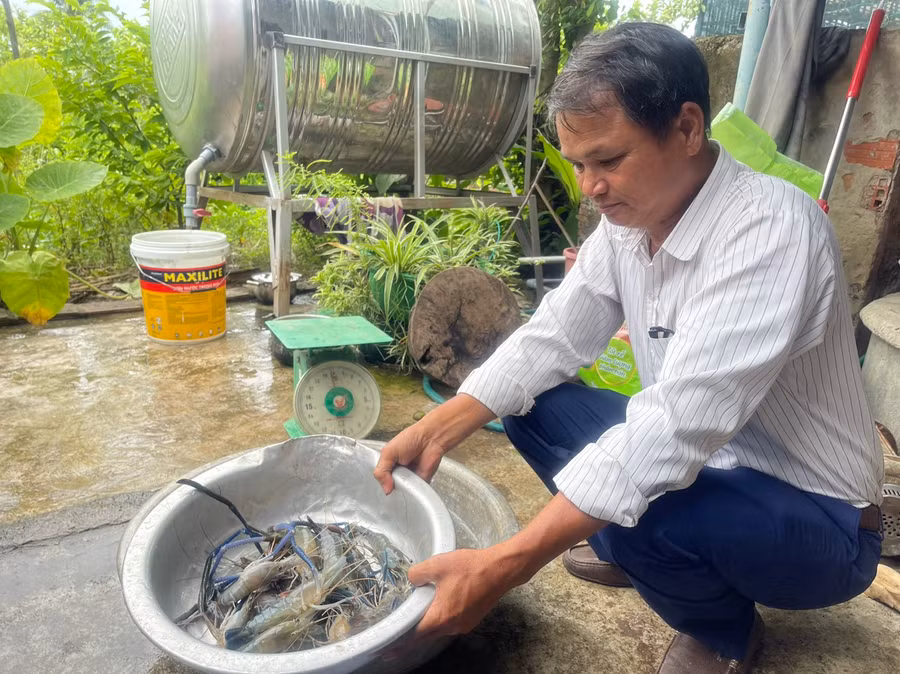 Ông Nguyễn Đức Thắng (thôn Bình Trang, xã Ia Peng) phấn khởi khi trọng lượng tôm đạt cao. Ảnh: Vũ Chi