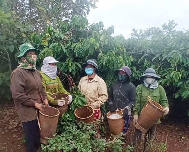 Hội viên phụ nữ làng Ô rê 1 (xã Grăng) tăng cường sử dụng gùi để hạn chế túi ni lông. Ảnh: Nhật Hào