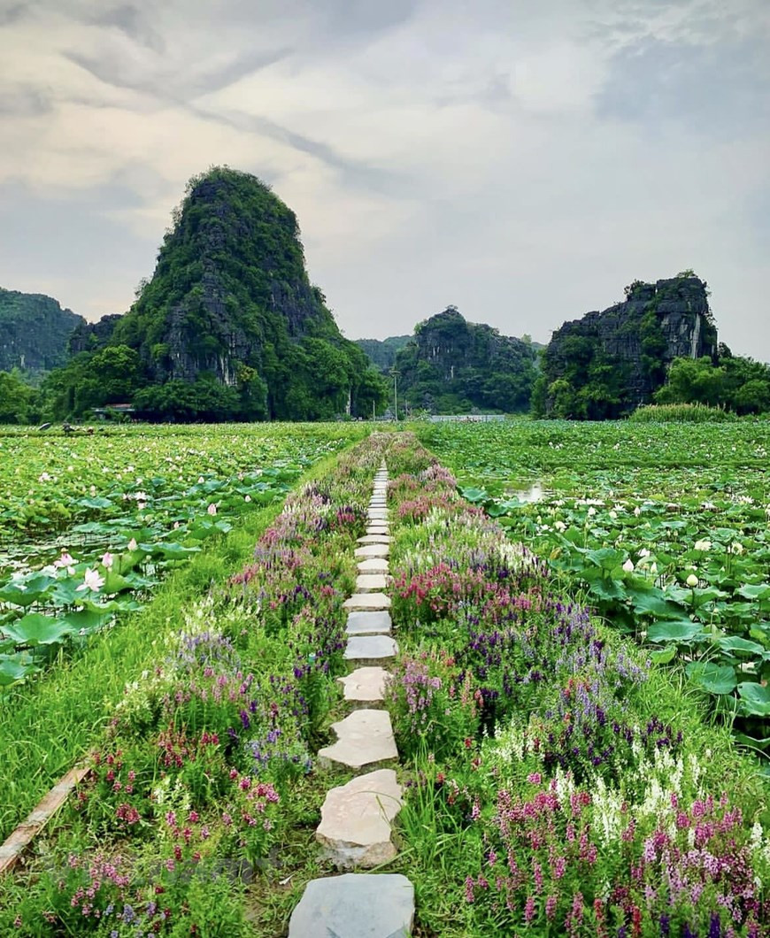 Trải nghiệm Thu lãng mạn ở 'thiên đường sống ảo' của Ninh Bình ảnh 5 Trải nghiệm Thu lãng mạn ở 'thiên đường sống ảo' của Ninh Bình ảnh 5