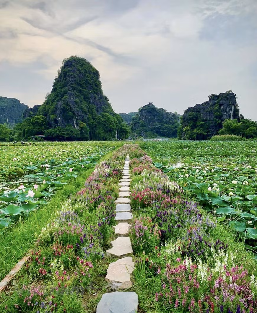 Trải nghiệm Thu lãng mạn ở 'thiên đường sống ảo' của Ninh Bình ảnh 5