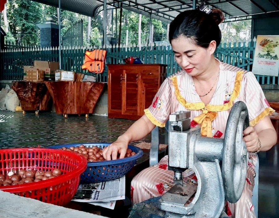 Gia đình ông Thiều Viết Đoàn-bà Nguyễn Thị Thủy (thôn Thống Nhất, xã Sơn Lang, huyện Kbang) chế biến mắc ca mang thương hiệu Mắc ca sấy Đoàn Thủy. Ảnh: L.N Gia đình ông Thiều Viết Đoàn-bà Nguyễn Thị Thủy (thôn Thống Nhất, xã Sơn Lang, huyện Kbang) chế biến mắc ca mang thương hiệu Mắc ca sấy Đoàn Thủy. Ảnh: L.N