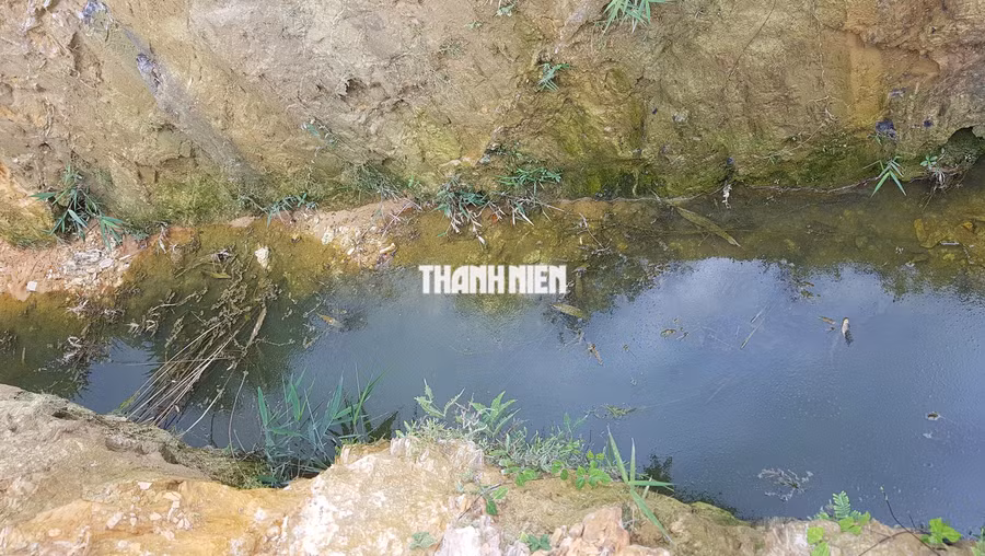 Khu vực mương thoát nước gần trại heo có màu đục ngòm, nhiều “chất lạ” vón cục. Ảnh: XUÂN LÂM