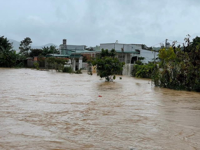 Mưa lớn, nhiều nơi ở TP.Bảo Lộc chìm trong biển nước - Ảnh 10. Không còn mưa lớn nhưng nước suối Đại Lào vẫn dâng cao. Ảnh: G.B