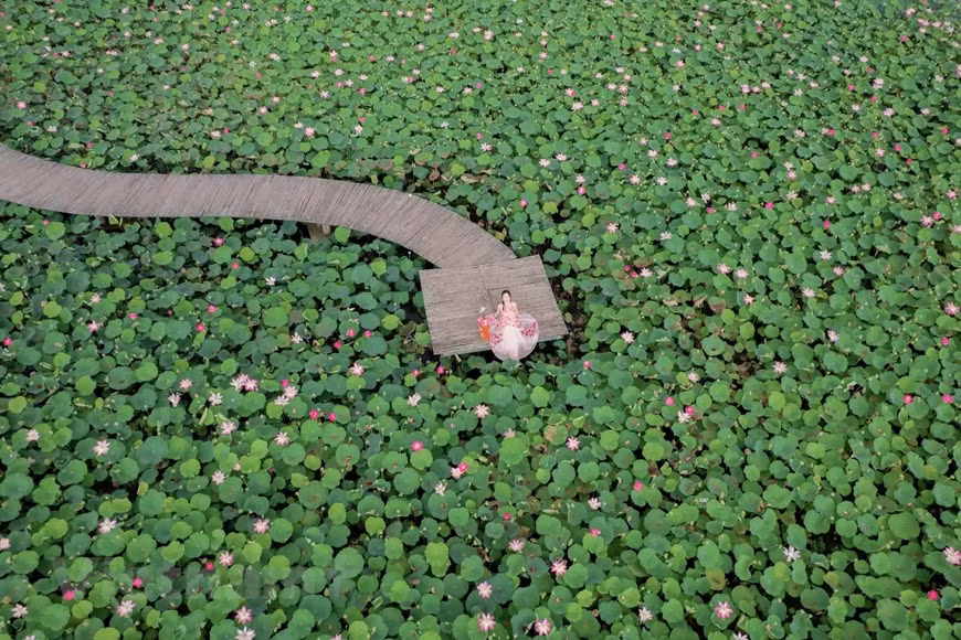 Trải nghiệm Thu lãng mạn ở 'thiên đường sống ảo' của Ninh Bình ảnh 2