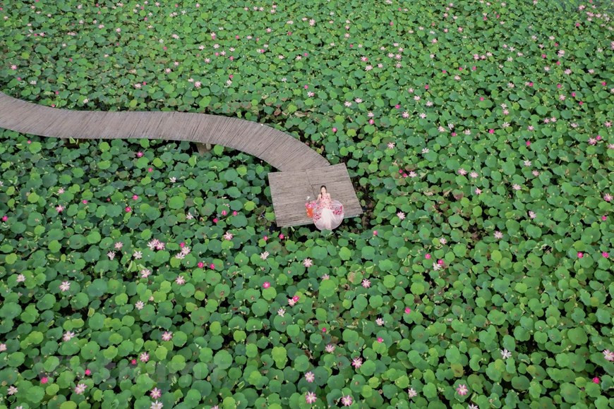 Trải nghiệm Thu lãng mạn ở 'thiên đường sống ảo' của Ninh Bình ảnh 2 Trải nghiệm Thu lãng mạn ở 'thiên đường sống ảo' của Ninh Bình ảnh 2
